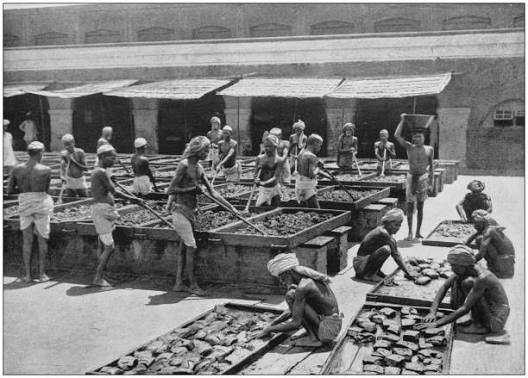 1,000+ British Empire India Stock Photos, Pictures & Royalty-Free Images - iStock