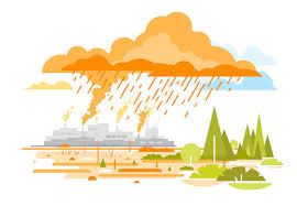 Experimento e questões sobre chuva ácida. Quiz Da Chuva Acida Quiz