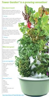 Although you can plant broccoli seed directly in your garden, it can be a slow starter. Tower Gardens Rockin Gardens