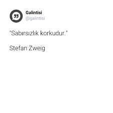 Sabirsizlik Korkudur Stefan Zweig 2020 Bilgelik Alintilari Guzel Soz Alintilar