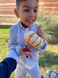 Desiree Arenivas (@ArenivasDesiree)