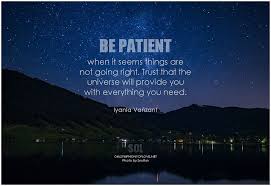 This quote seems odd coming from a man who bantered about the relative nature of time. Be Patient When It Seems Things Are Not Going Right Trust That The Universe Will Provide You Picture Quotes Patience Quotes Iyanla Vanzant Quotes