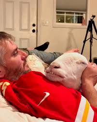 Ziggy's Refuge Farm...