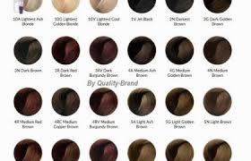 ion brown hair color chart sbiroregon org