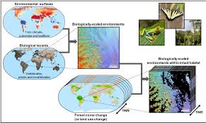 Biodiversity Habitat Environmental Performance Index