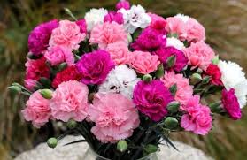 Happy birthday card with flowers arranged in gift box. 3 Most Ideal Birthday Flowers To Gift The October Born