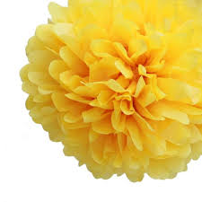 Georgina (dahlia 'hapet pom', dahlia hapet pom), cultivar. Tissue Paper Pom Poms Flower Ball 3 Sizes Yellow Balloons4you New Zealand Party Decoration Party Balloons Shop