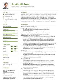 Professional/technical project manager, senior project managers, marketing project manager, it project manager and entry levels. 100 Professional Resume Samples For 2020 Resumekraft Regulatory Affairs Project Manager Resume Management Skills