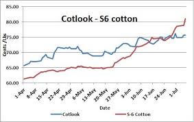 Cotton Firm In Central India India Cotton Turns Premium