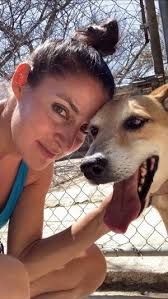 Rescue Team for Dogs