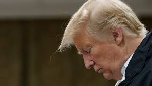 Election 2020: Registered Republicans support Trump but many want GOP  challengers