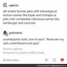 Pet Names Funsubstance Haha Funny Tumblr Funny Funny Tumblr Posts