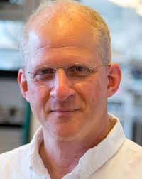 Department of Physics Newsletter, Vol. 10 2016-2017