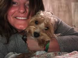 This is my little lucy she has never been groomed before can't seem to find  anyone that sounds like they would even be willing to do it for me she has a