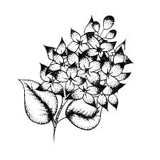 Si vous voulez découper des bandes et que votre texte est trop proche du bord, faites un saut de ligne avant et après le texte. Fleur Lilas De Tatouage Noir Et Blanc Illustration Stock Illustration Du Botanique Beau 157741055
