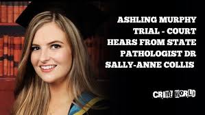 Ashling Murphy trial