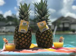 Perfect Pineapple Pool Party Chestnut Hill Farms How Pineapples Help You Beat The Heat Chestnut Hill Farms