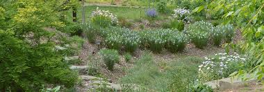 We did not find results for: Pollinator Garden Rutgers Gardens