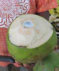 The diy recipe can be obtained from a snooty island resident or a message in a bottle. Organic Coconut Water Coco By Dr Antonio Martins