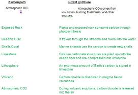 Explore learning osmosis gizmo answer key | answers fanatic osmosis answer key vocabulary: Carbon Cycle Gizmo Answer Key 2021 Free Unlocks Inside