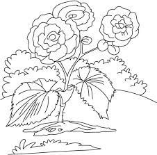 Pin On Things To Color