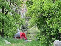 11 Best Places To Go Camping Near Water In Arizona Best Places To Camp Arizona Camping Lake Camping