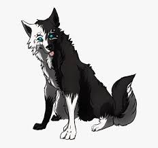Black and white anime wolves 24 background. Dog Breed Black Wolf Pack Wolfdog Arctic Wolf White Wolf With Black Paws Hd Png Download Transparent Png Image Pngitem
