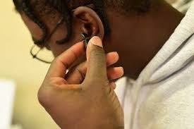 Elon Explorers hosts first Science Slices event