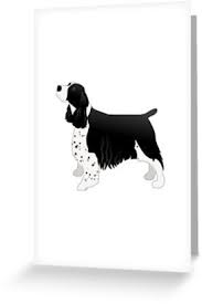 Black And White Springer Spaniel Clipart Pin On Springer Spaniel