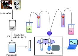 A fibrinogen antigen test measures the amount of fibrinogen in the blood. Rapid Monitoring Of Alkaline Phosphatase In Raw Milk Using 1 1 Oxalyldiimidazole Chemiluminescence Detection Analytical Methods Rsc Publishing