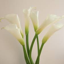 はなどんやアソシエ