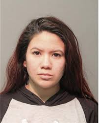 ᐅ Illinois Criminal Records 2009-2026