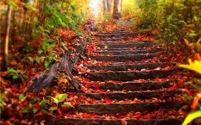 We have a massive amount of desktop and mobile backgrounds. Autumn Scene Wallpapers Wallpaper Cave