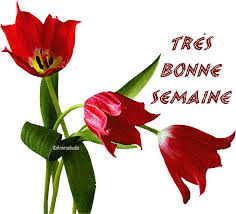 RÃ©sultat de recherche d'images pour "gif bonne semaine"