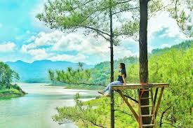 Find what to do today, this weekend, or in january. Ranu Gumbolo Tulungagung Bukan Salah Tulis Tapi Danau Ini Sangat Mirip Ranu Kumbolo