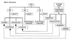 program office organization structure download scientific