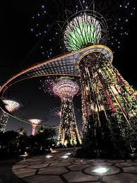 Super Trees Put On A Dazzling Display In Singapore Singapore Garden City Life Photography Christmas Lights