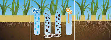 The soil is best aerated when it is cleared or mowed. Aerating Your Lawn Milorganite