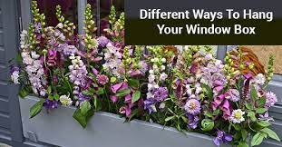 Center the planter box underneath your window. Diy Hanging Window Box Clera Windows Doors