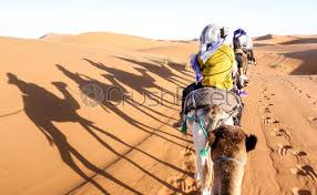 The really large camel caravans that travelled the minimum 1000 kilometres (620 miles) to cross the routes would shift over the centuries like the sand dunes of the desert as empires rose and fell either side of the sahara and as new resources were discovered that. Camel Running And Cars Rally Safari In The Desert Excursion Stock Photo Crushpixel