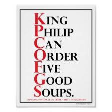 Mnemonic King Philip Species Identification Poster Zazzle Com Science Lessons Learning Spanish Mnemonics