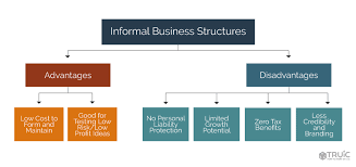 Business Structure How To Choose A Business Structure Truic