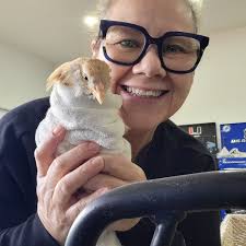 How to reset pecking order in small hen flock?