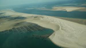 Banc D Arguin Et Banc Du Toulinguet Photo De Bateau Taxi D Arcachon Tripadvisor