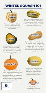 Pin On Fall Winter Recipes