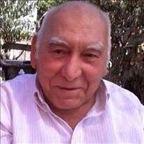 Refugio Silva Castillo Obituary