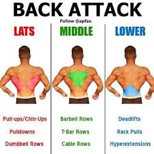 back workout complete with 8 exercises gym workouts