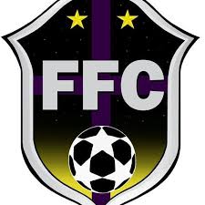 Image result for FFFC football crest