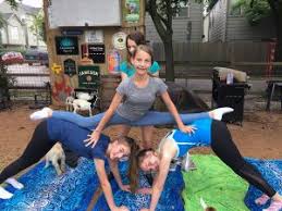 Maybe you would like to learn more about one of these? Special Events Goat Yoga Houston Baby Goat Yoga In Houston Metro Area