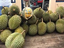 Thiên đường tội ác ở thái lan. Dan Trung Quá»'c Ä'áº·t Mua 8 Váº¡n Quáº£ Sáº§u Rieng Thai Lan Trong 60 Giay Vietnamnet